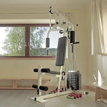 Bursztynowe Buki 3* Lądek-Zdrój