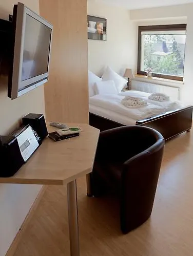 Bursztynowe Buki Lądek-Zdrój